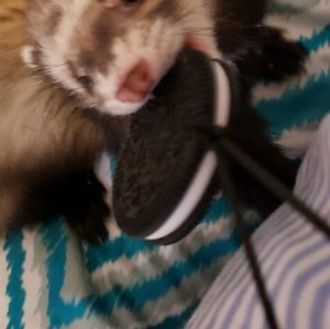 Meet your Posher, Brianna